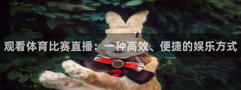 观看体育比赛直播：一种高效、便捷的娱乐方式
