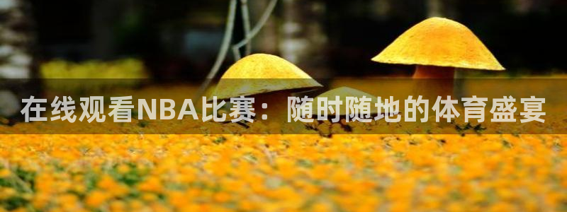 在线观看NBA比赛：随时随地的体育盛宴