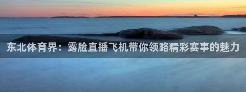 东北体育界：露脸直播飞机带你领略精彩赛事的魅力