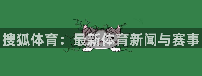 搜狐体育：最新体育新闻与赛事