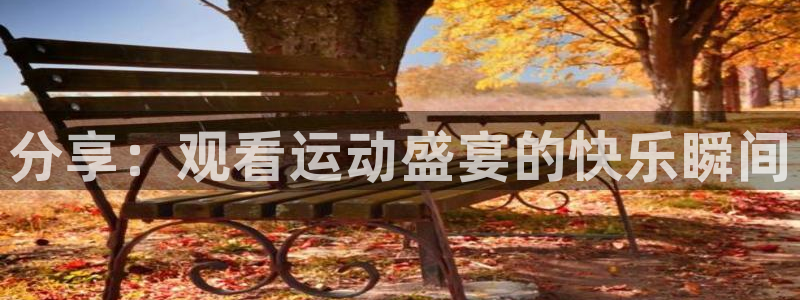 分享：观看运动盛宴的快乐瞬间