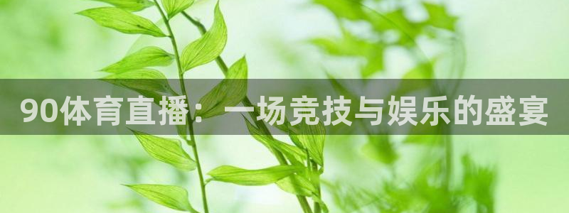 90体育直播：一场竞技与娱乐的盛宴