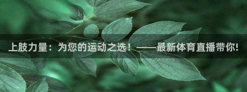 上肢力量：为您的运动之选！——最新体育直播带你!