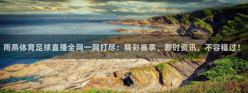 雨燕体育足球直播全网一网打尽：精彩赛事、即时资讯，不容错过！