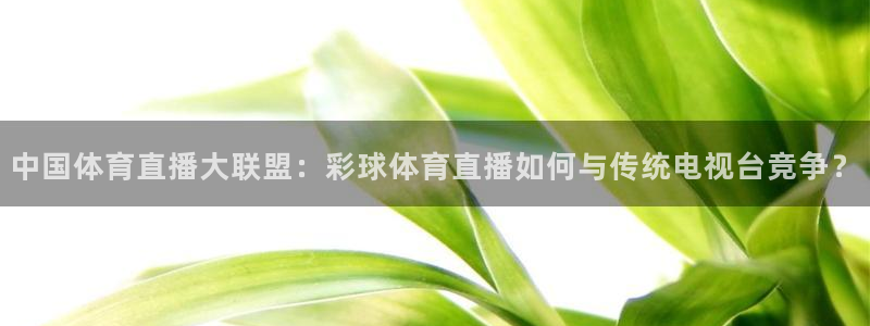 中国体育直播大联盟：彩球体育直播如何与传统电视台竞争？