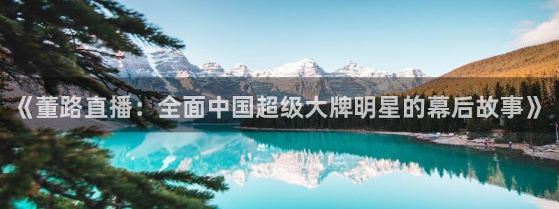 《董路直播：全面中国超级大牌明星的幕后故事》