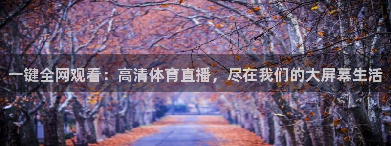 一键全网观看：高清体育直播，尽在我们的大屏幕生活
