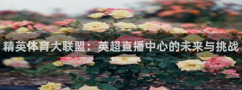 精英体育大联盟：英超直播中心的未来与挑战