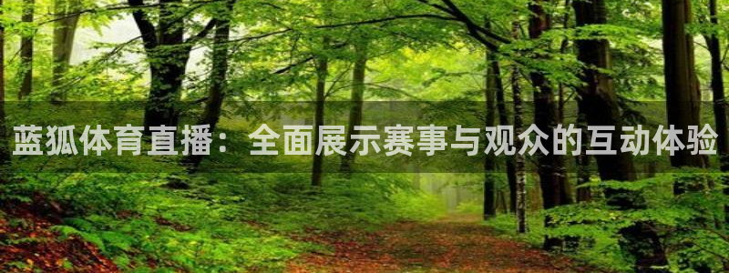 蓝狐体育直播：全面展示赛事与观众的互动体验