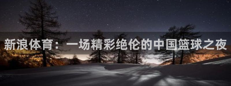 新浪体育：一场精彩绝伦的中国篮球之夜