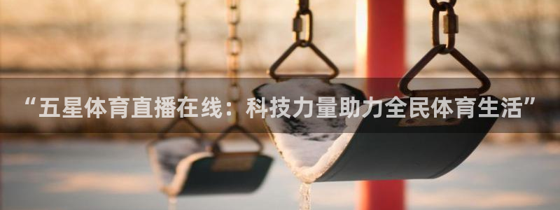 “五星体育直播在线：科技力量助力全民体育生活”