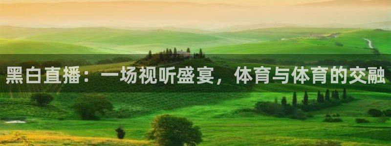 黑白直播：一场视听盛宴，体育与体育的交融