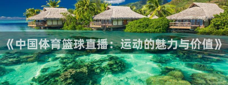 《中国体育篮球直播：运动的魅力与价值》