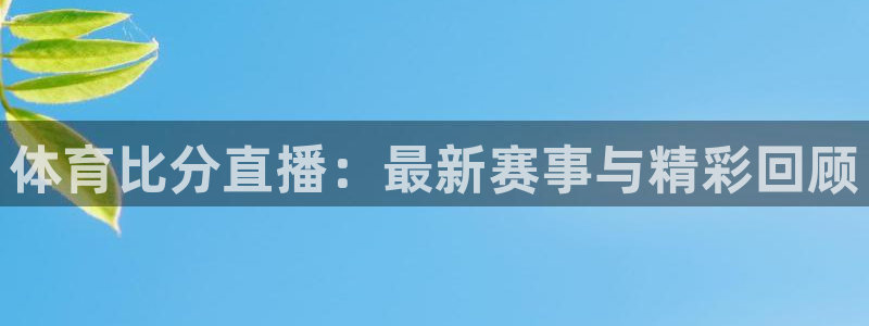 体育比分直播：最新赛事与精彩回顾