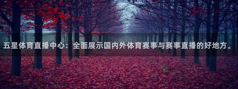 五星体育直播中心：全面展示国内外体育赛事与赛事直播的好地方。