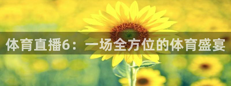 体育直播6：一场全方位的体育盛宴