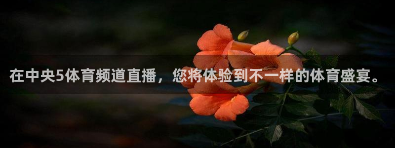 在中央5体育频道直播，您将体验到不一样的体育盛宴。