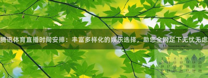 腾讯体育直播时间安排：丰富多样化的娱乐选择，助您全网足下无忧无虑