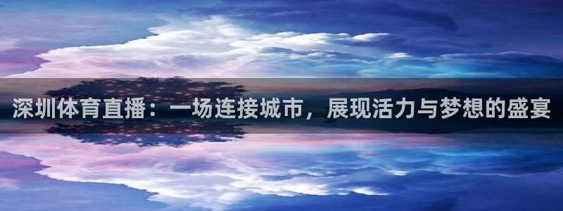 深圳体育直播：一场连接城市，展现活力与梦想的盛宴