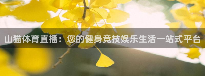 山猫体育直播：您的健身竞技娱乐生活一站式平台