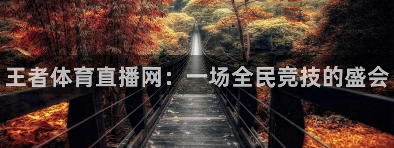 王者体育直播网：一场全民竞技的盛会
