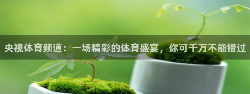 央视体育频道：一场精彩的体育盛宴，你可千万不能错过