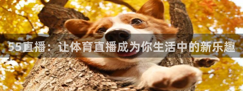 55直播：让体育直播成为你生活中的新乐趣