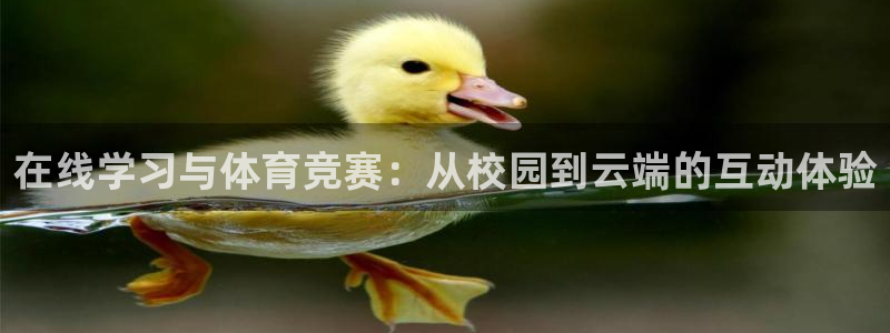 在线学习与体育竞赛：从校园到云端的互动体验