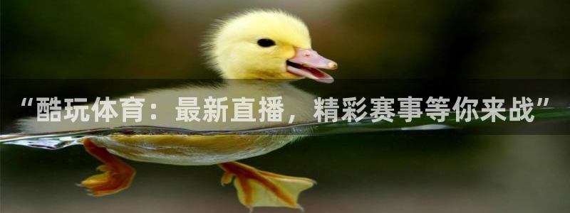“酷玩体育：最新直播，精彩赛事等你来战”