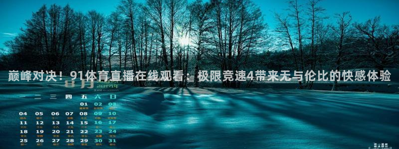 巅峰对决！91体育直播在线观看：极限竞速4带来无与伦比的快感体验