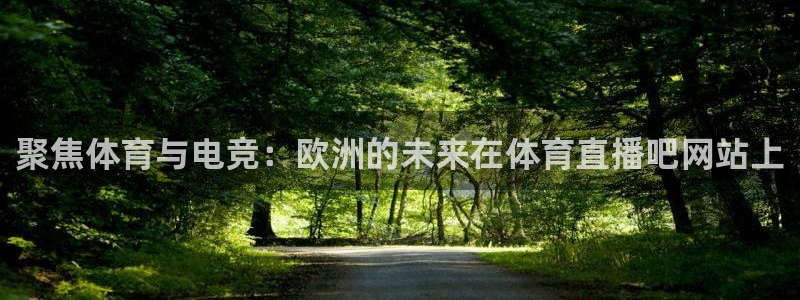 聚焦体育与电竞：欧洲的未来在体育直播吧网站上
