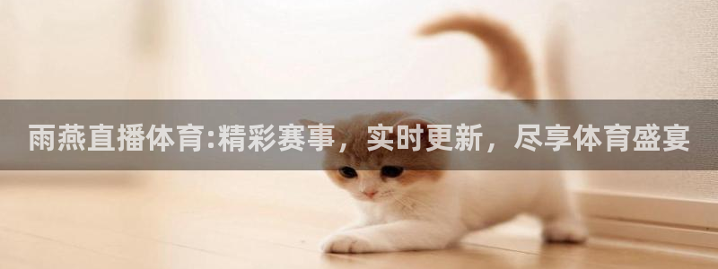 雨燕直播体育:精彩赛事，实时更新，尽享体育盛宴