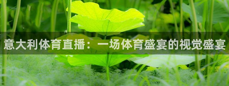 意大利体育直播：一场体育盛宴的视觉盛宴