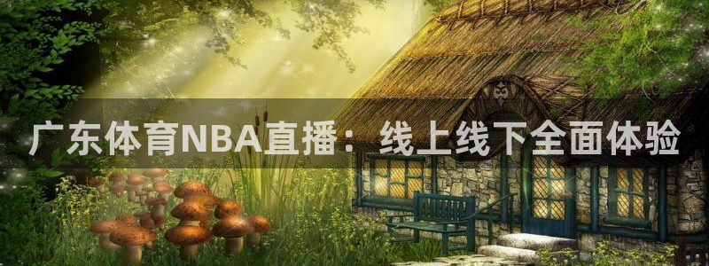 广东体育NBA直播：线上线下全面体验