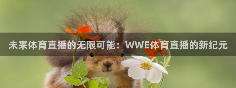 未来体育直播的无限可能：WWE体育直播的新纪元