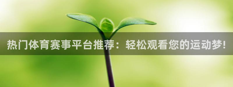 热门体育赛事平台推荐：轻松观看您的运动梦!