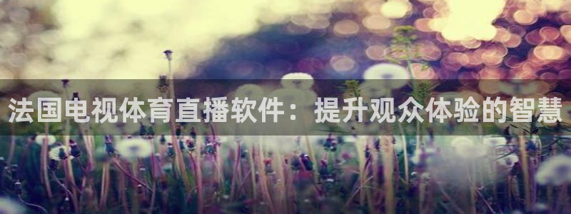 法国电视体育直播软件：提升观众体验的智慧