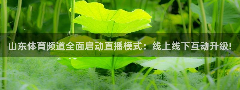 山东体育频道全面启动直播模式：线上线下互动升级!