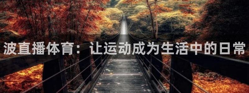 波直播体育：让运动成为生活中的日常