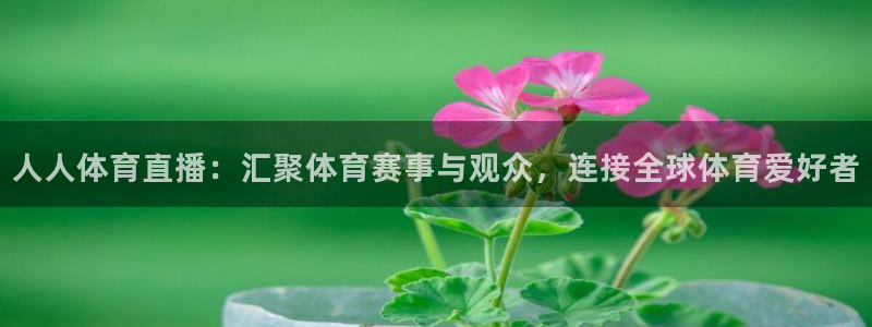 人人体育直播：汇聚体育赛事与观众，连接全球体育爱好者