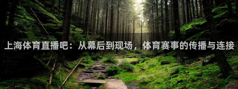 上海体育直播吧：从幕后到现场，体育赛事的传播与连接